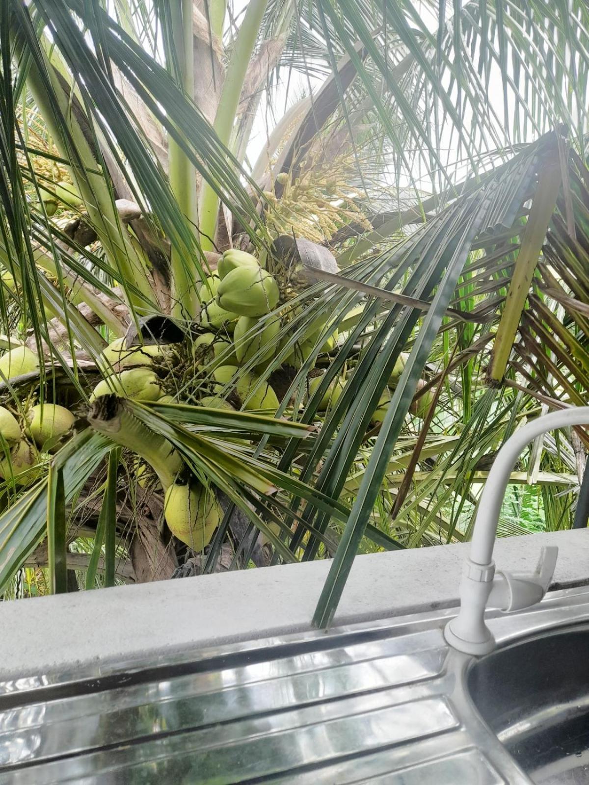 Dinuri Villa Tangalle Exteriér fotografie