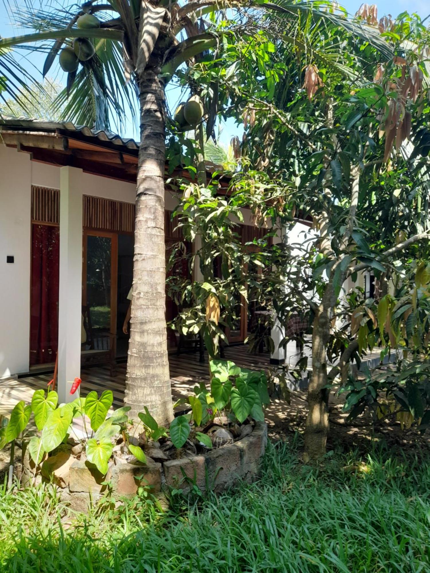 Dinuri Villa Tangalle Exteriér fotografie